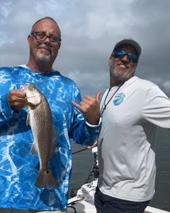 Redfish action in Cape Coral! 